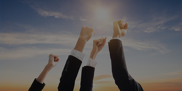 專業(yè)開發(fā)團隊